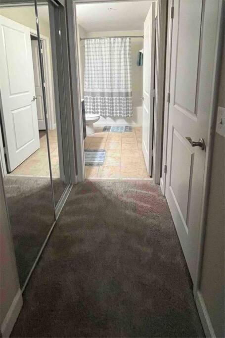 Apartamento Blooming Journey In Tampa Bay! Exterior foto